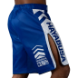 Preview: Hayabusa Icon Fight Shorts blau